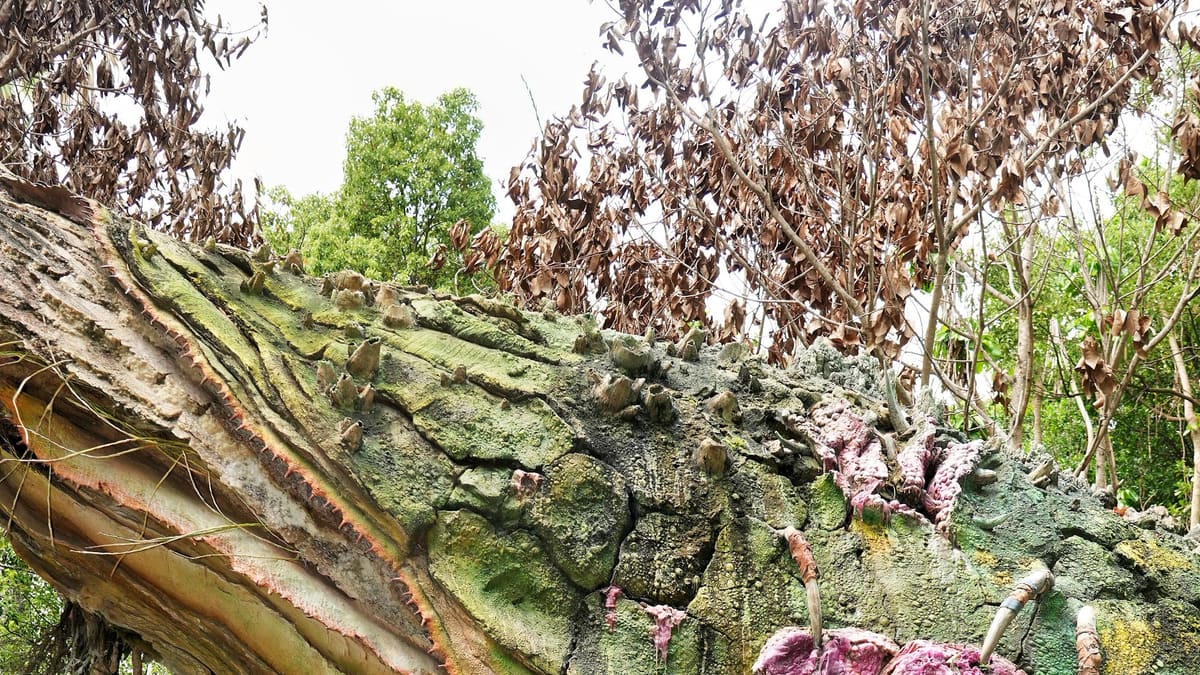 Thomaz, guia da Desenrola, apresenta com a mão a flor gigante de Pandora, no Animal Kingdom